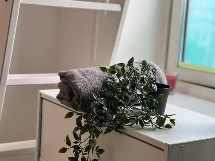 Cozy Room With Smart Solutions Grunerlokka Central Happy Days オスロ エクステリア 写真